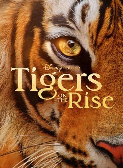 دانلود فیلم ببر های در حال ظهور Tigers on the Rise 2024